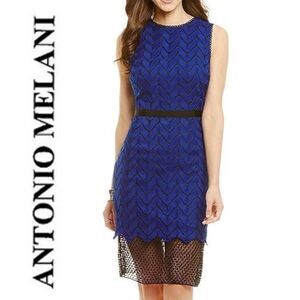 ANTONIO MELANI Royal Blue and Black Patterned Midi Dress